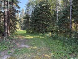 2.54 acre building lot Big River Rm No. 555, SK S0J 0E0