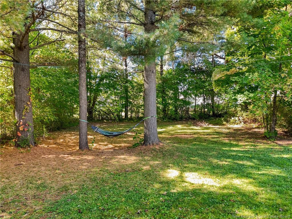 A + B-107 Fulton Ave, Fredericton, NB - Outdoor