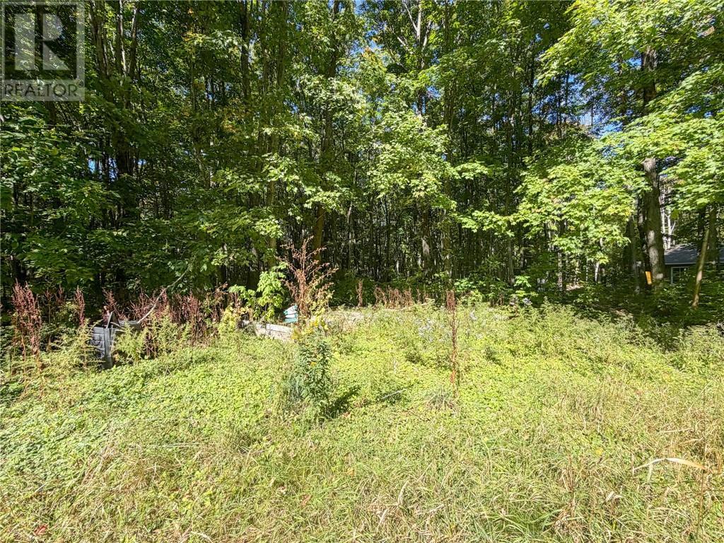 16 Bastien Road, Mindemoya, Manitoulin Island, ON