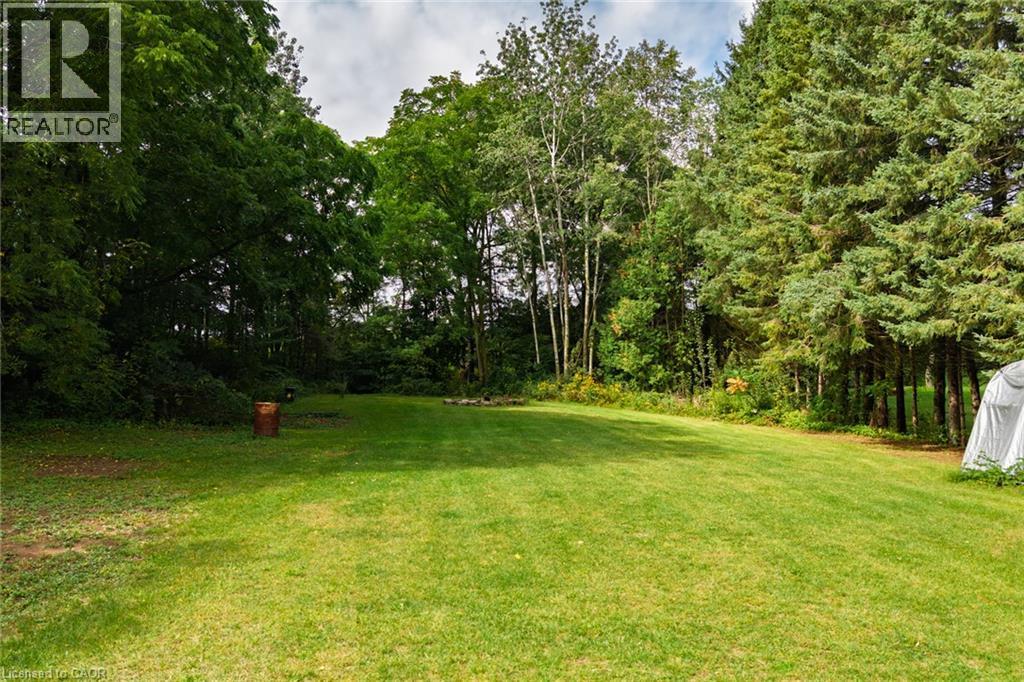 Generous grassy area framed by mature deciduous and coniferous trees - 78 Oak Street, Simcoe, ON