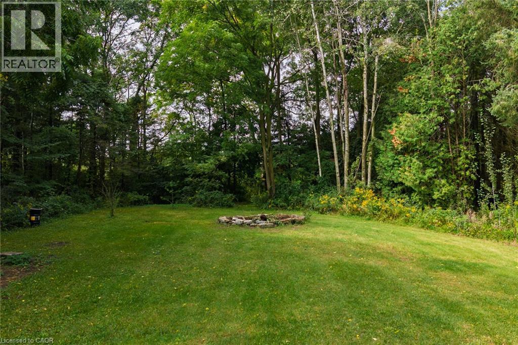 Expansive green lawn with a natural stone fire pit, bordered by mature trees and natural foliage - 78 Oak Street, Simcoe, ON