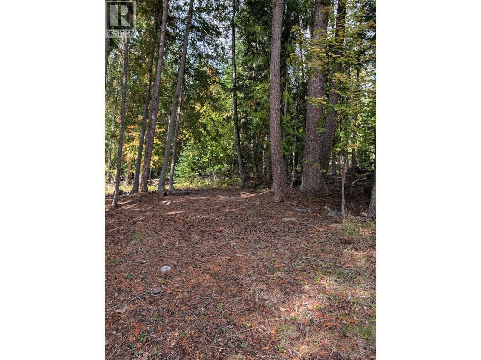 Vickers Trail Lot# 80, Anglemont, BC
