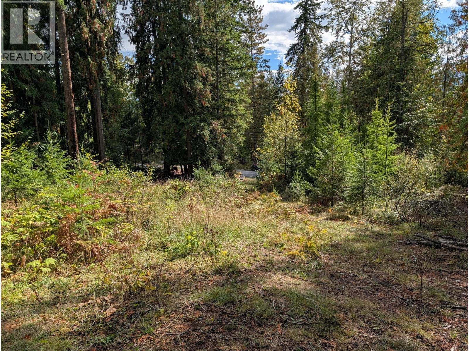Vickers Trail Lot# 80, Anglemont, BC