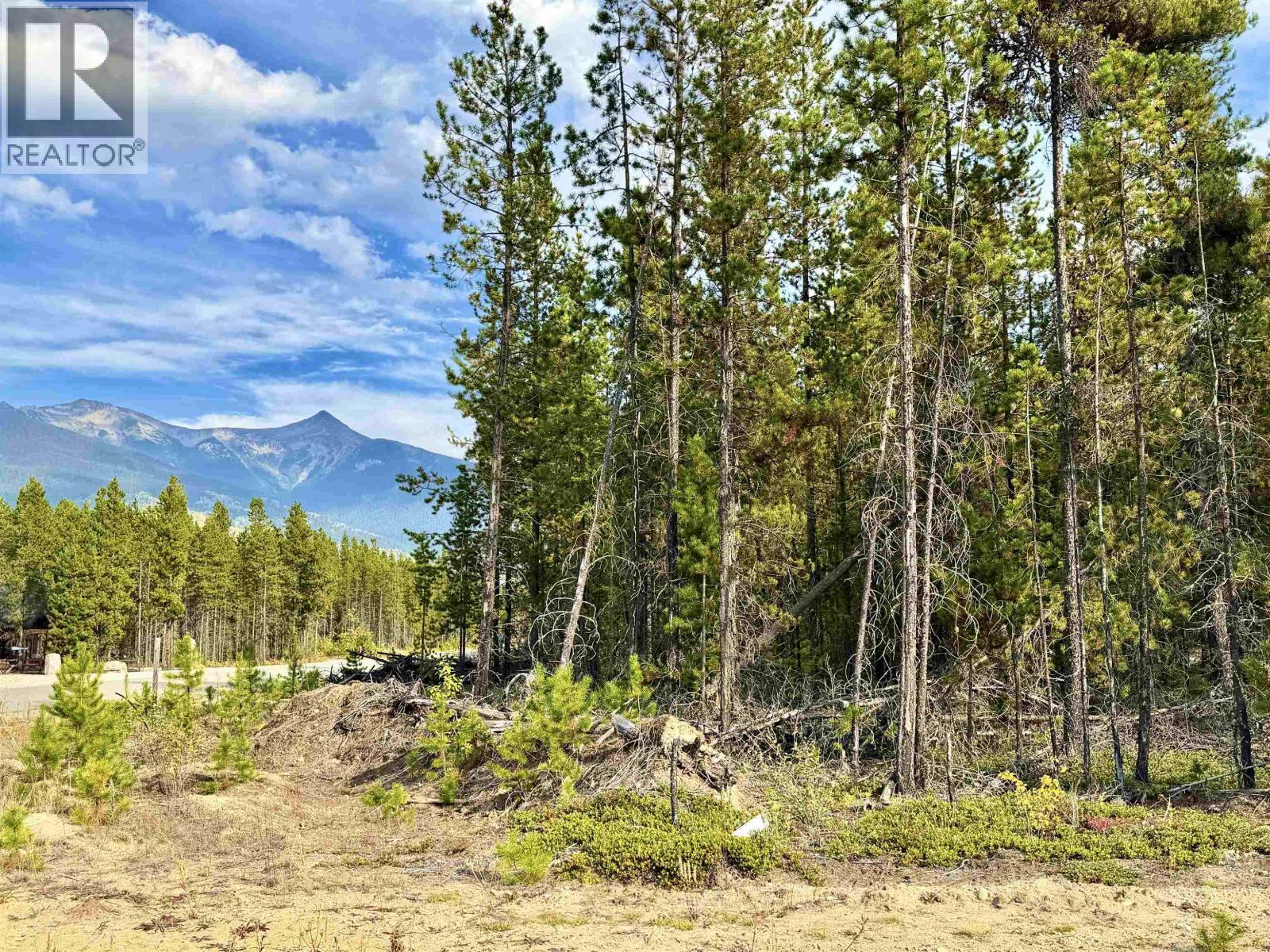 1255 18Th Avenue, Valemount, BC