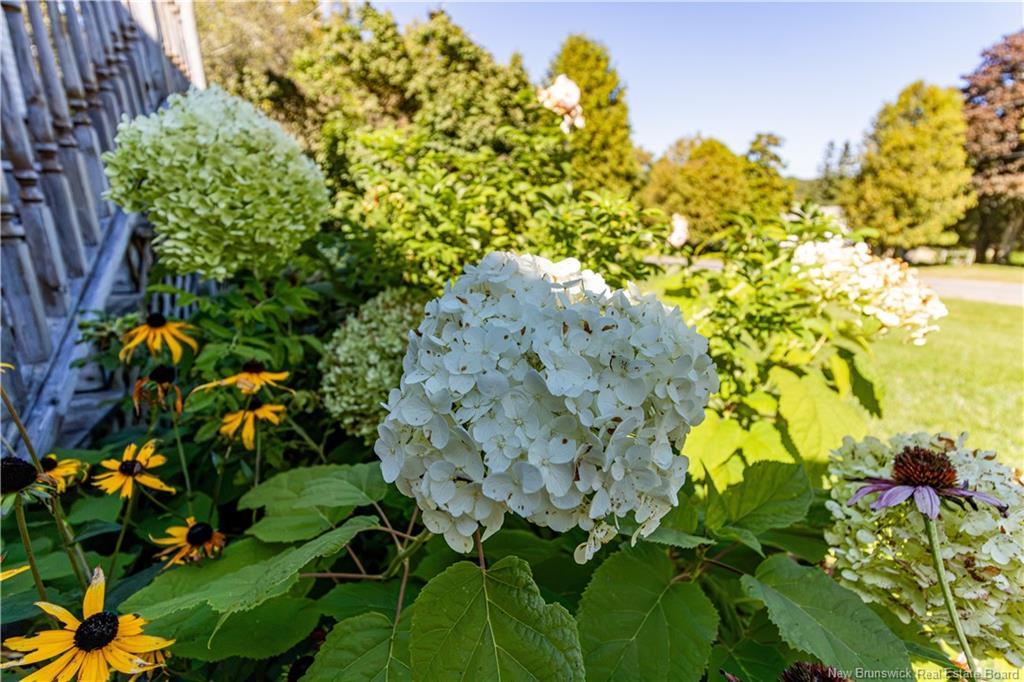 49 Yeomans Rd, Mill Brook, NB