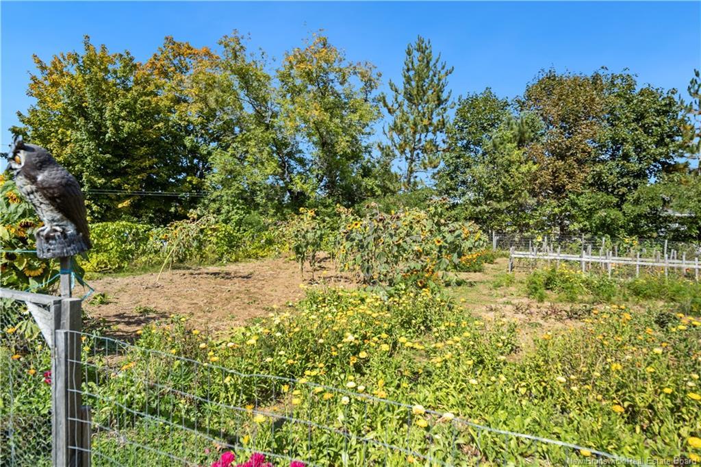40 Mill Rd, Elgin, NB