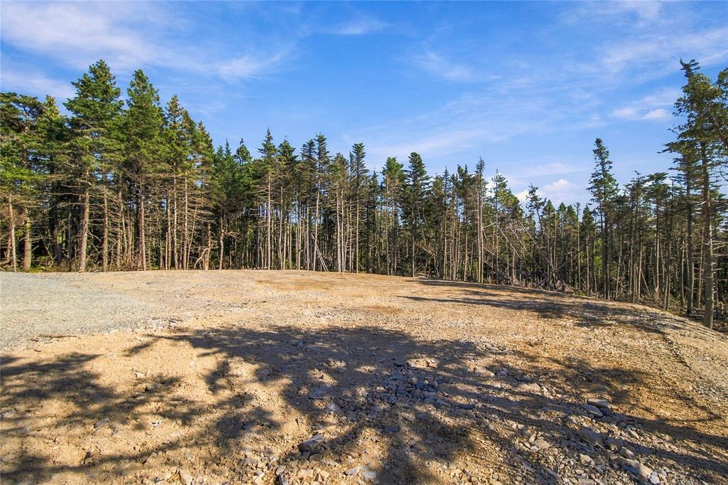 42 Windgap Road, Torbay, NL