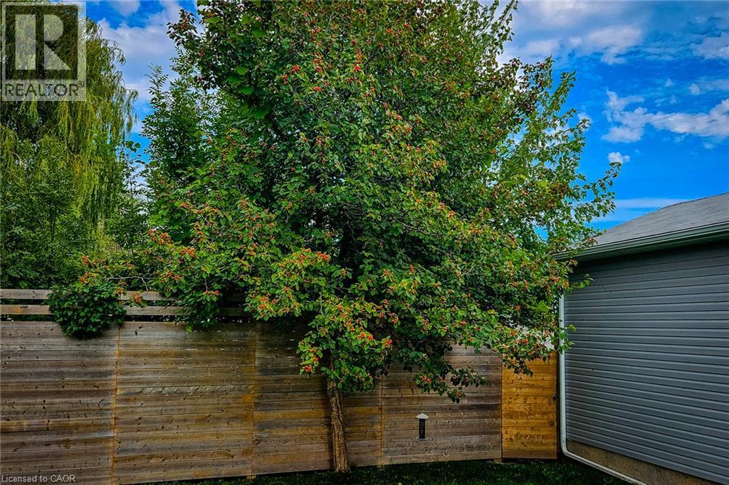 Wood-panel fencing with mature trees and landscaping - 4274 Sixth Avenue, Niagara Falls, ON