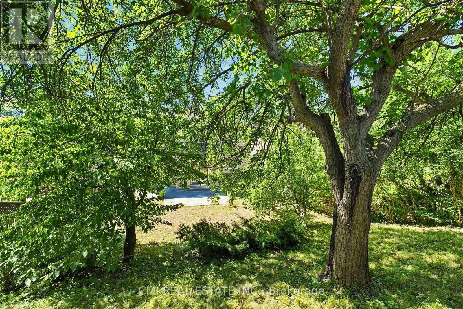127 O'Connor Crescent, Richmond Hill, ON