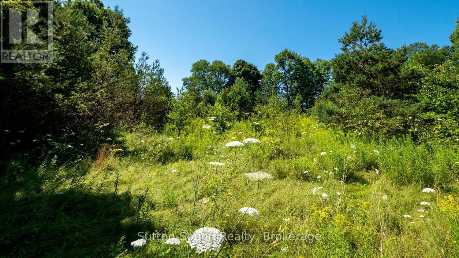 31 Everett Road, South Bruce Peninsula, ON