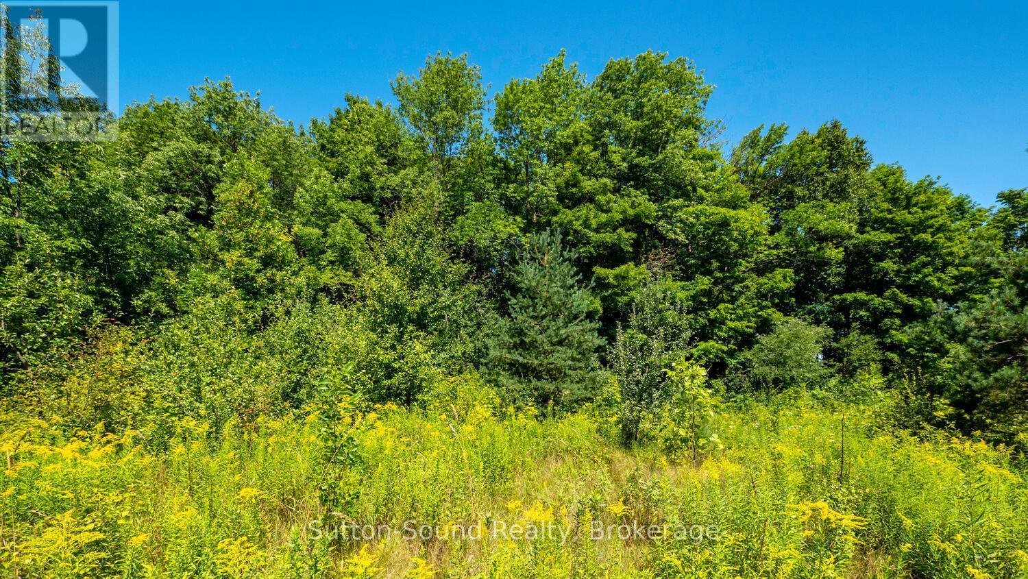 31 Everett Road, South Bruce Peninsula, ON