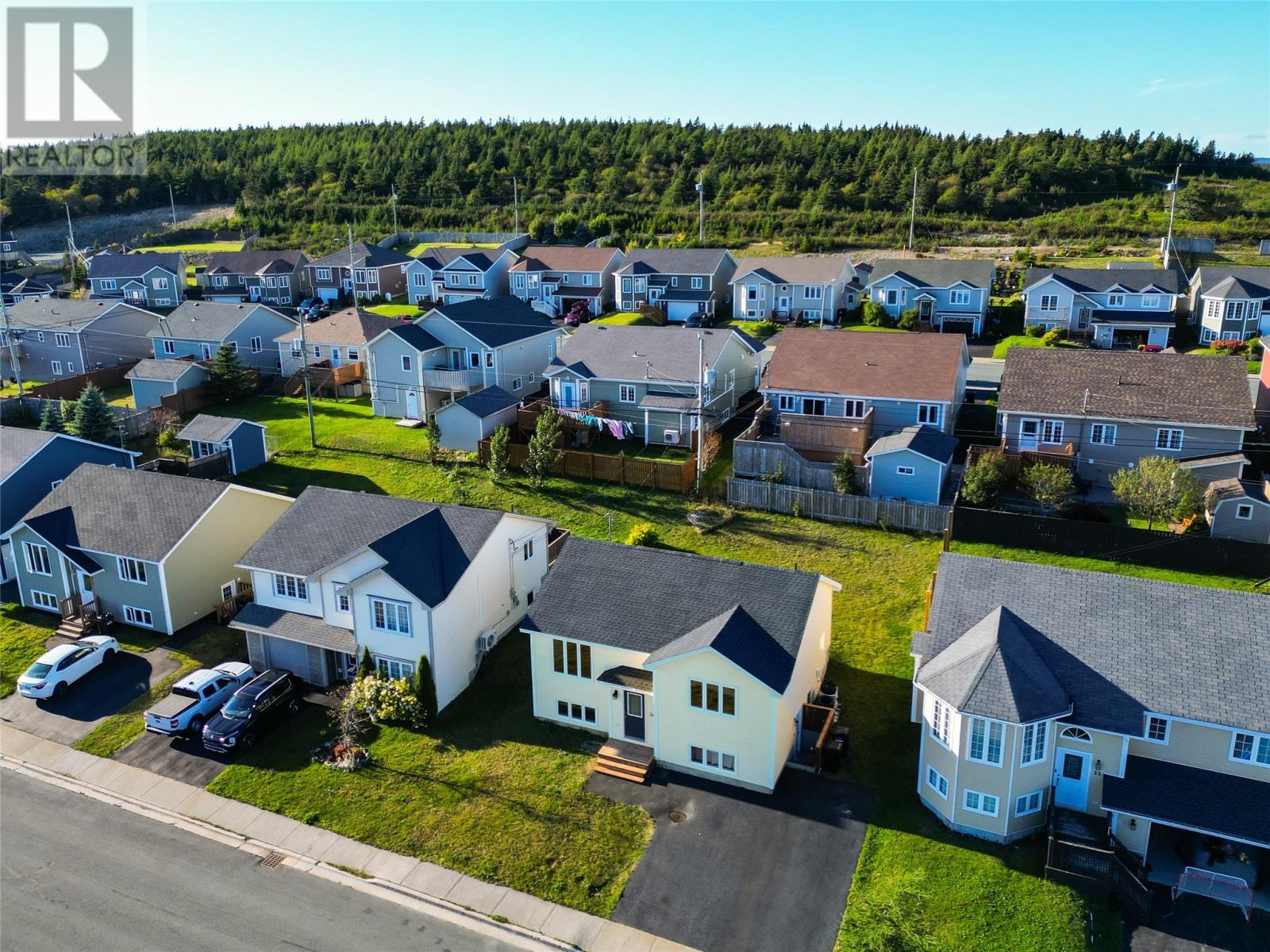 24 Hopedale Crescent, St. John'S, NL