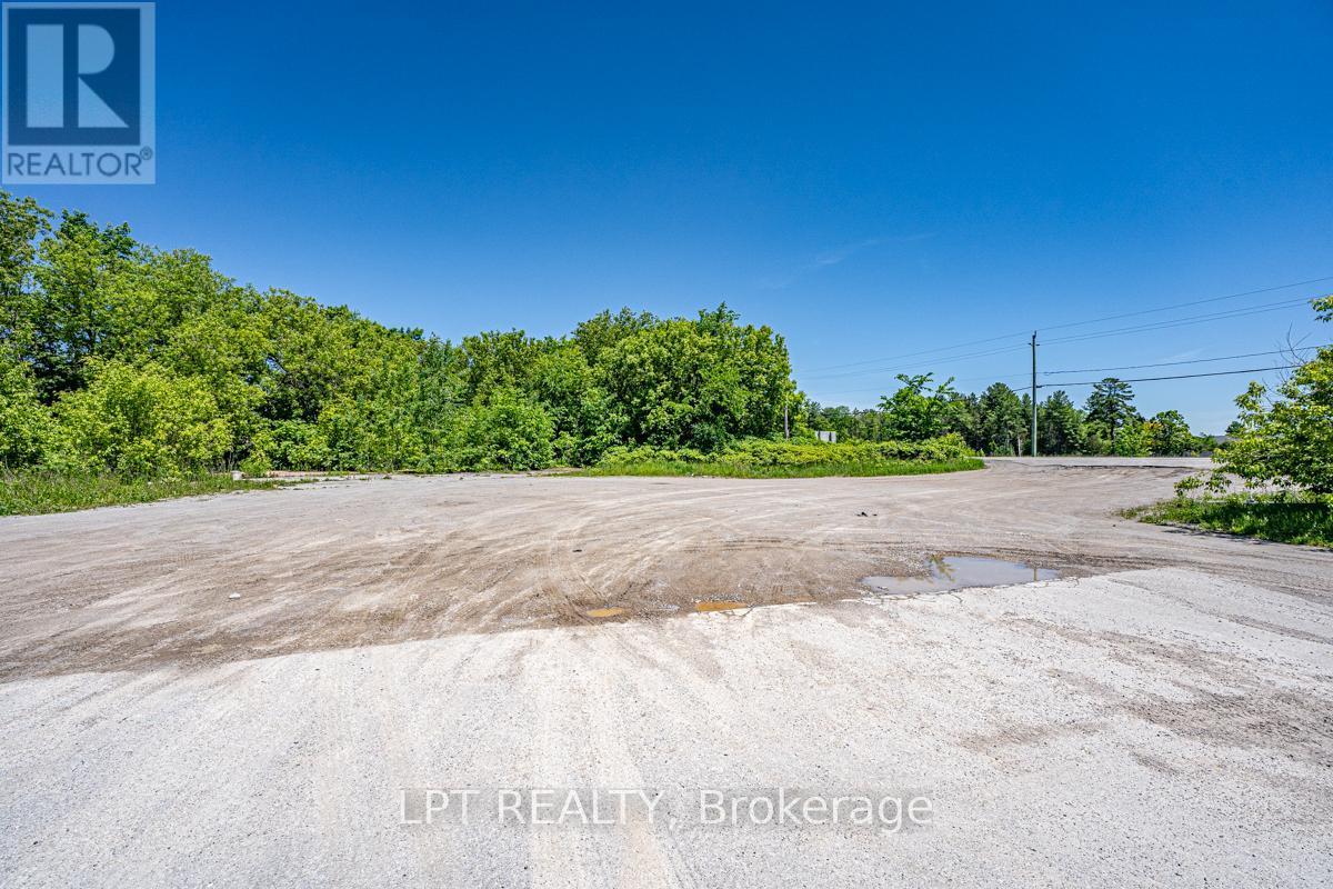 232 Main Street, Kawartha Lakes, ON