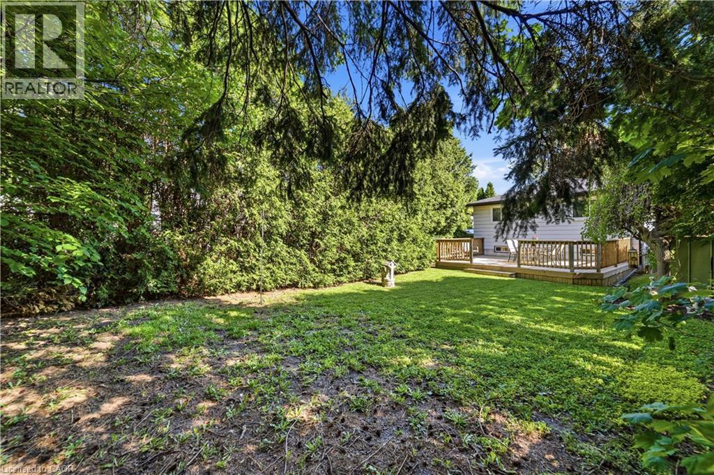 Expansive backyard featuring a newer wooden deck, mature trees, and a privacy hedge - 450 Brigadoon Drive, Hamilton, ON