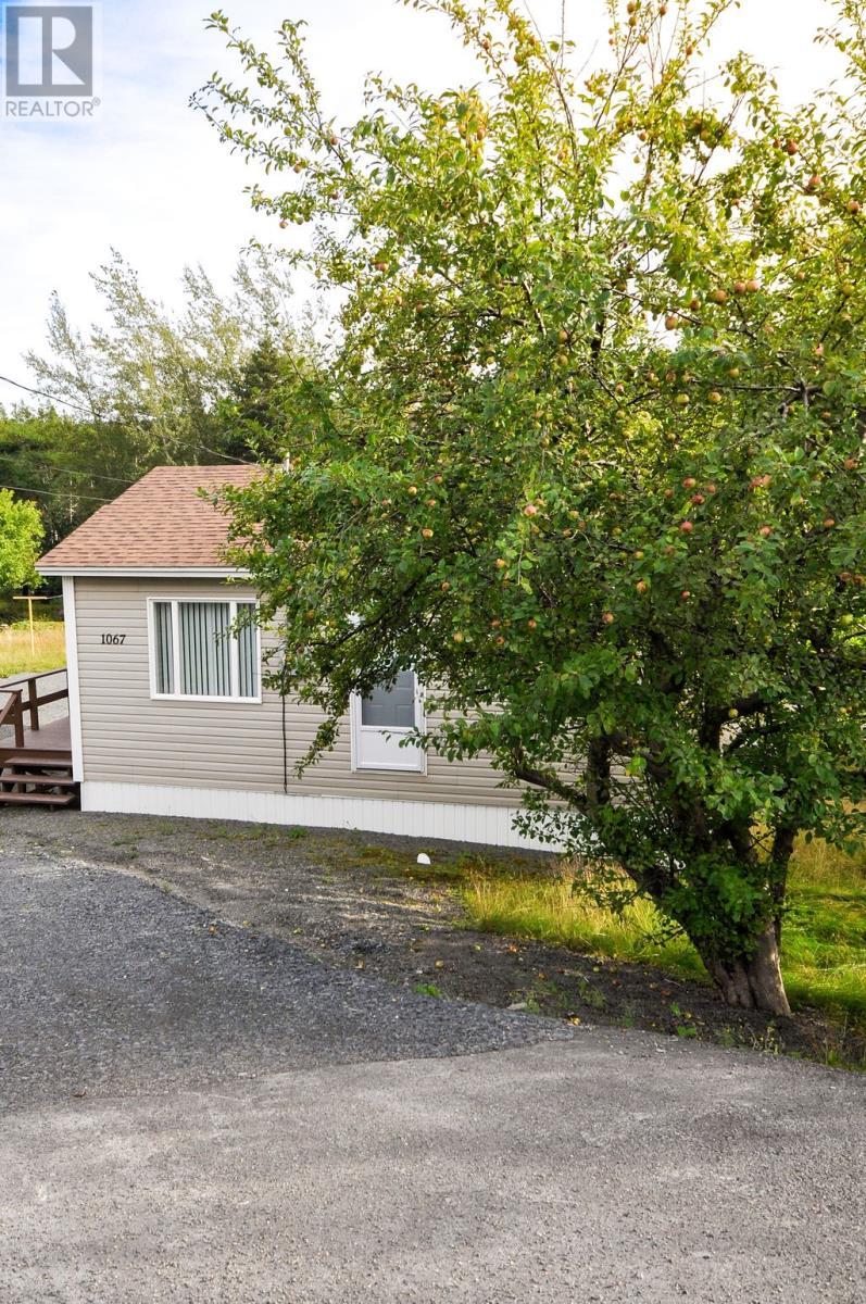 1067 Main Road, Dunville, NL