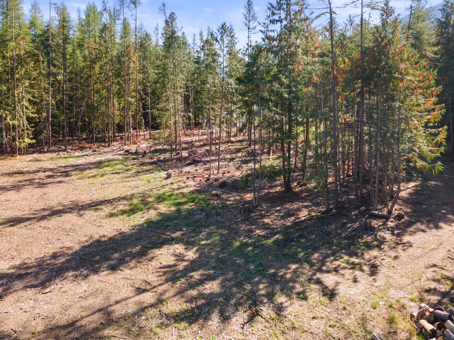 1438 Lepitzki Road, Arrow Creek, BC
