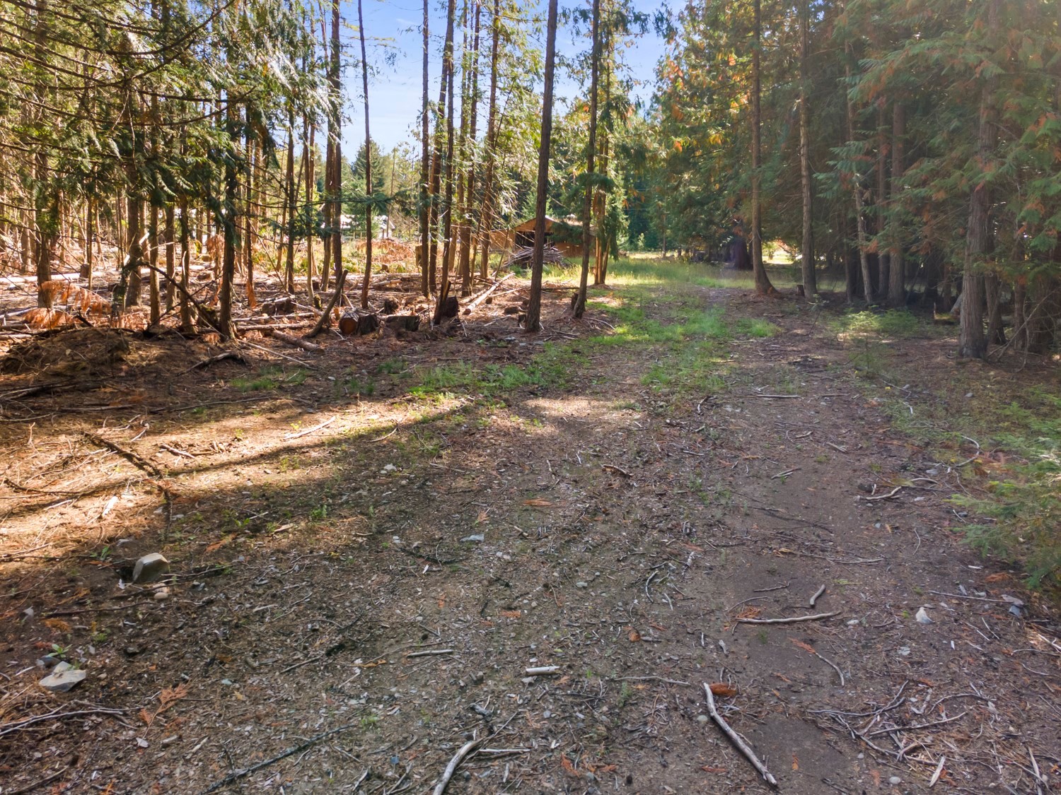 1438 Lepitzki Road, Arrow Creek, BC