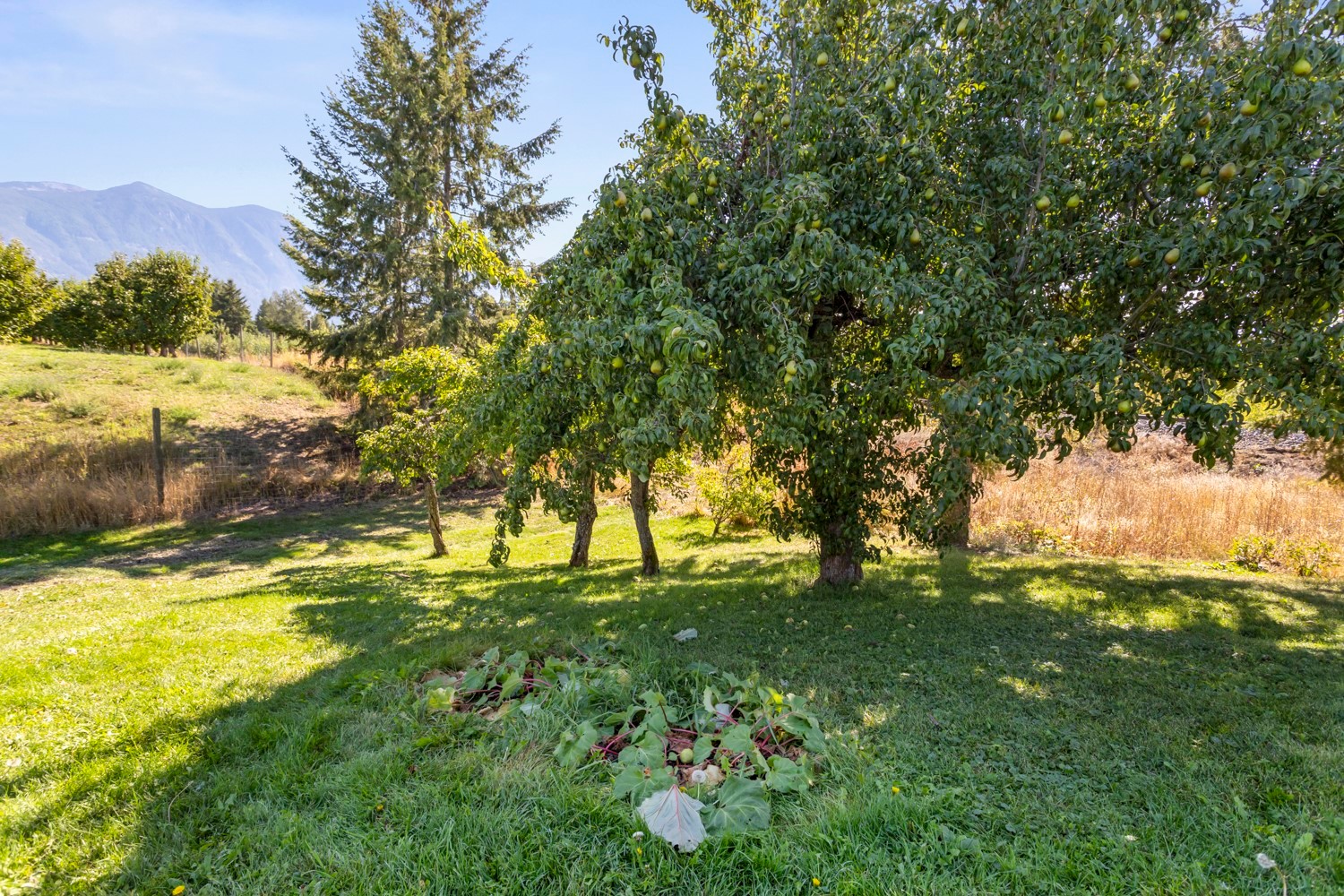 1228 25Th Avenue, Erickson, BC