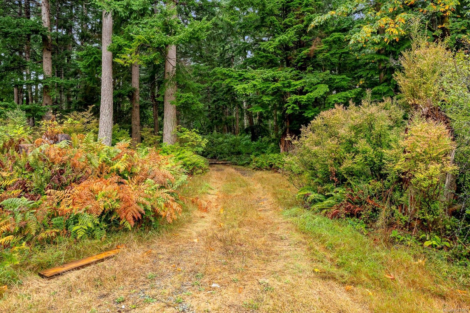 652 Fox Rd, Quadra Island, BC