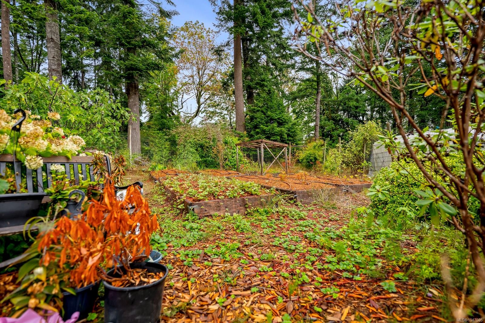 652 Fox Rd, Quadra Island, BC