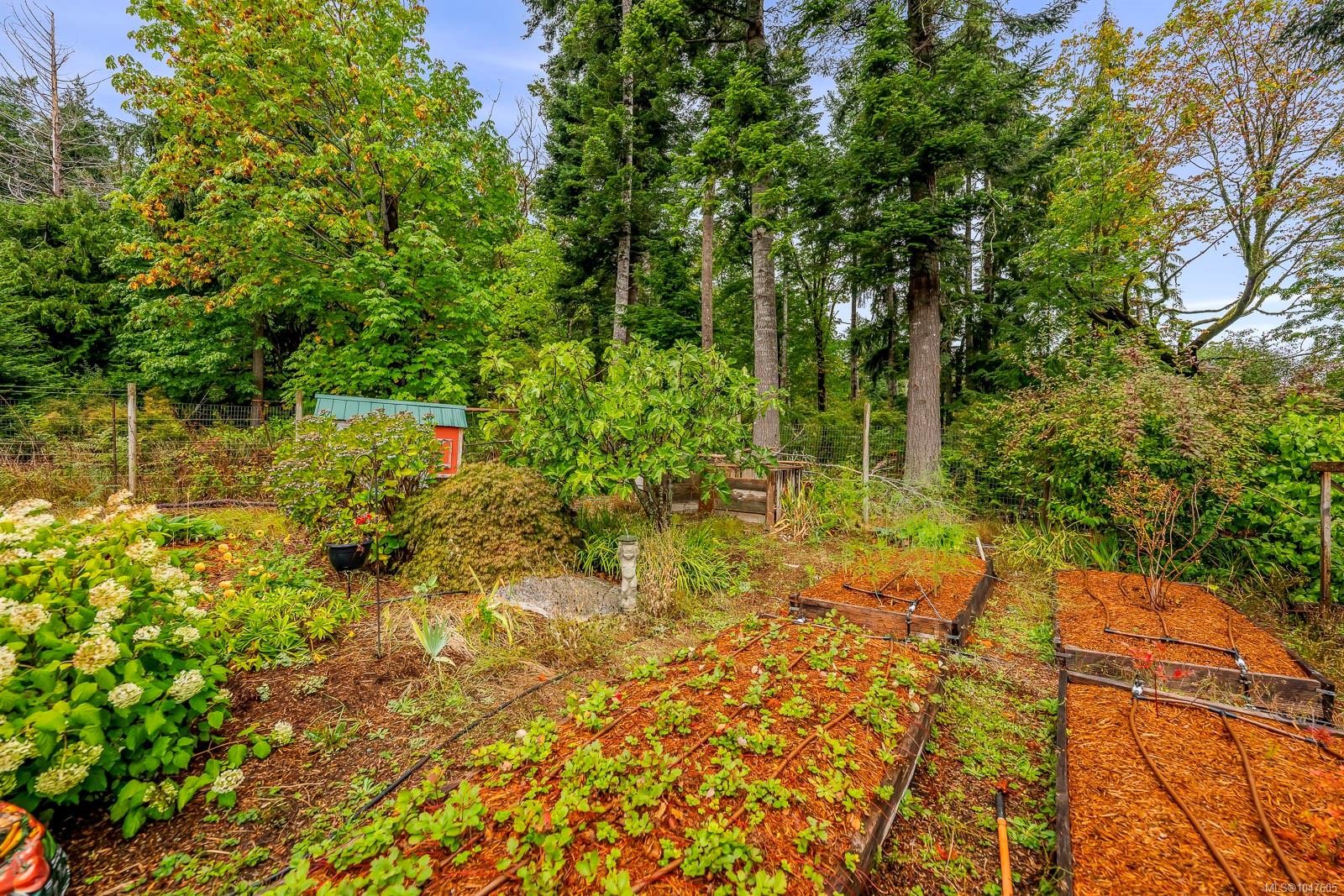 652 Fox Rd, Quadra Island, BC