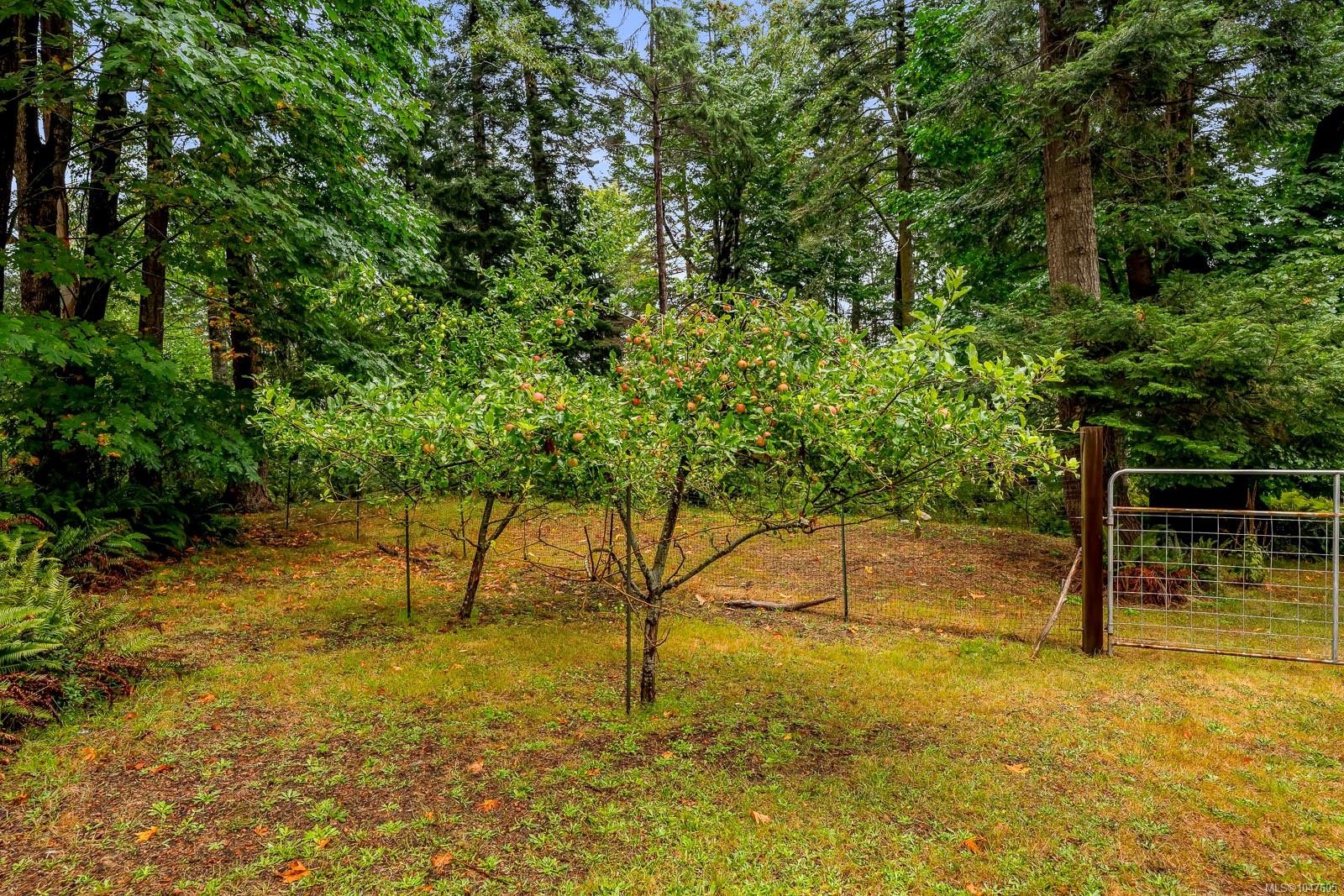 652 Fox Rd, Quadra Island, BC