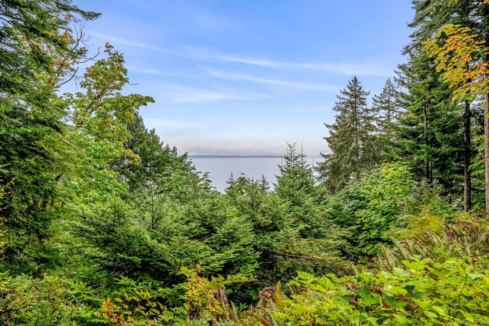 652 Fox Rd, Quadra Island, BC