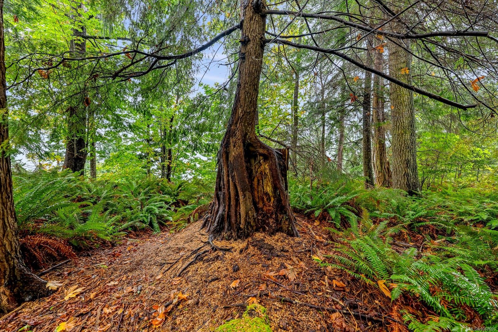 652 Fox Rd, Quadra Island, BC