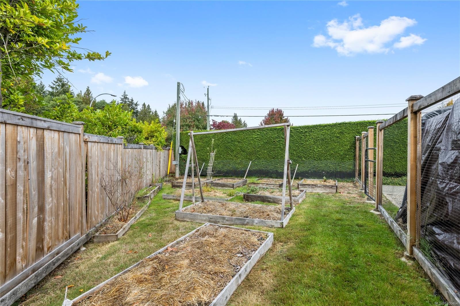 647 Temple St, Parksville, BC