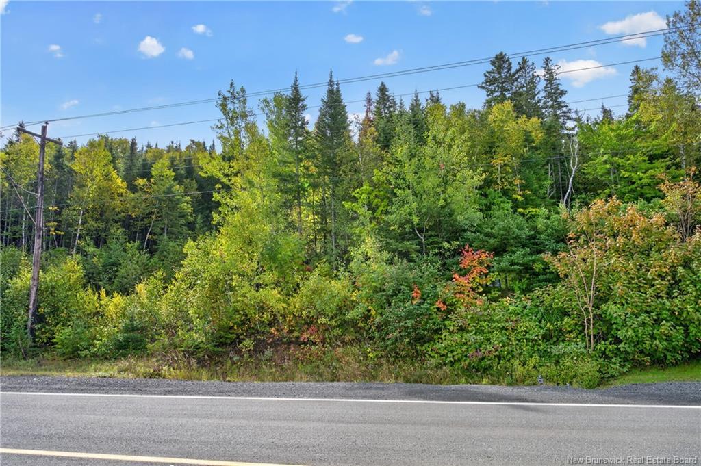 Lot Victoria St, Dalhousie, NB