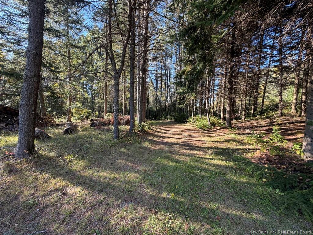 198 Riviere Madawaska Rd, Saint-Jacques, NB