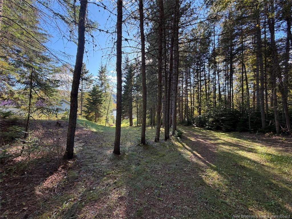198 Riviere Madawaska Rd, Saint-Jacques, NB