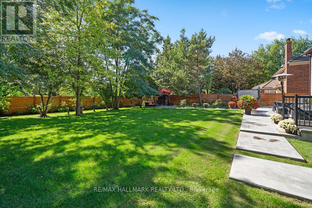 Backyard - 18 Ardmore Crescent, Richmond Hill, ON