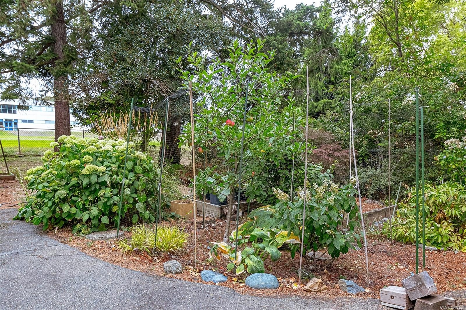 3960 Cumberland Rd, Saanich, BC