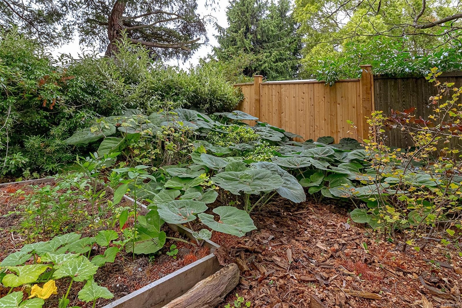 3960 Cumberland Rd, Saanich, BC
