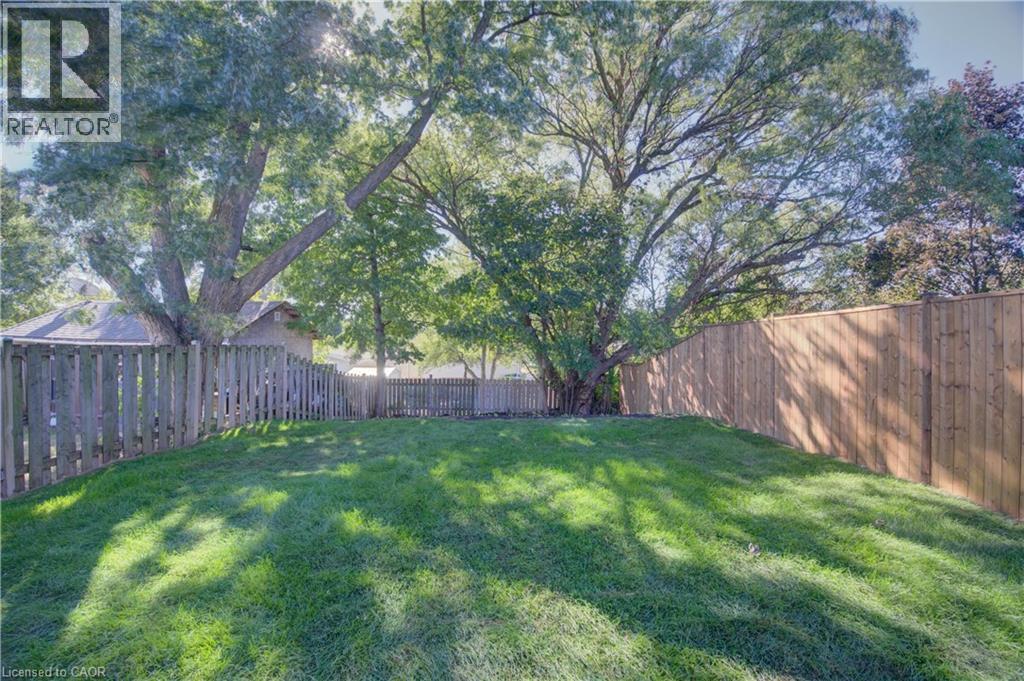 Expansive lawn area, mature trees, wood privacy fencing, and wood picket fencing - 210 Ferguson Avenue, Cambridge, ON