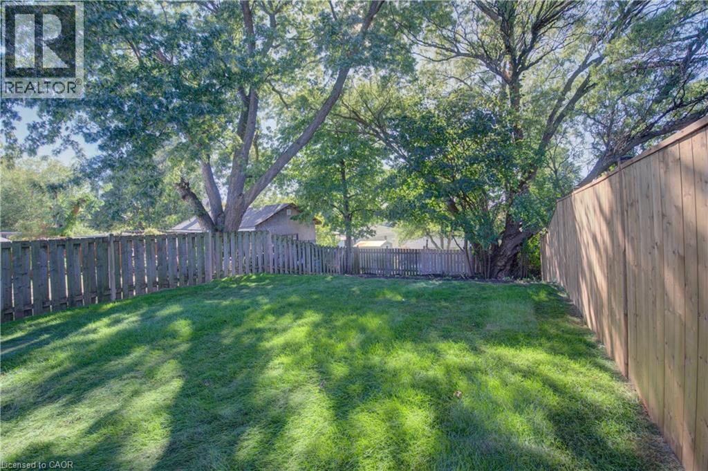 Expansive lawn area with mature trees and a wood privacy fence - 210 Ferguson Avenue, Cambridge, ON