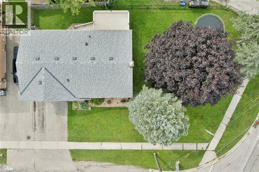 Gabled roofline with asphalt shingles, mature trees, concrete sidewalks, and a lush green lawn - 8 Christian Street, Baden, ON