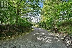 Peaceful and Private but Minutes from Town! -
