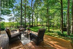 Mature Trees Everywhere You Look -