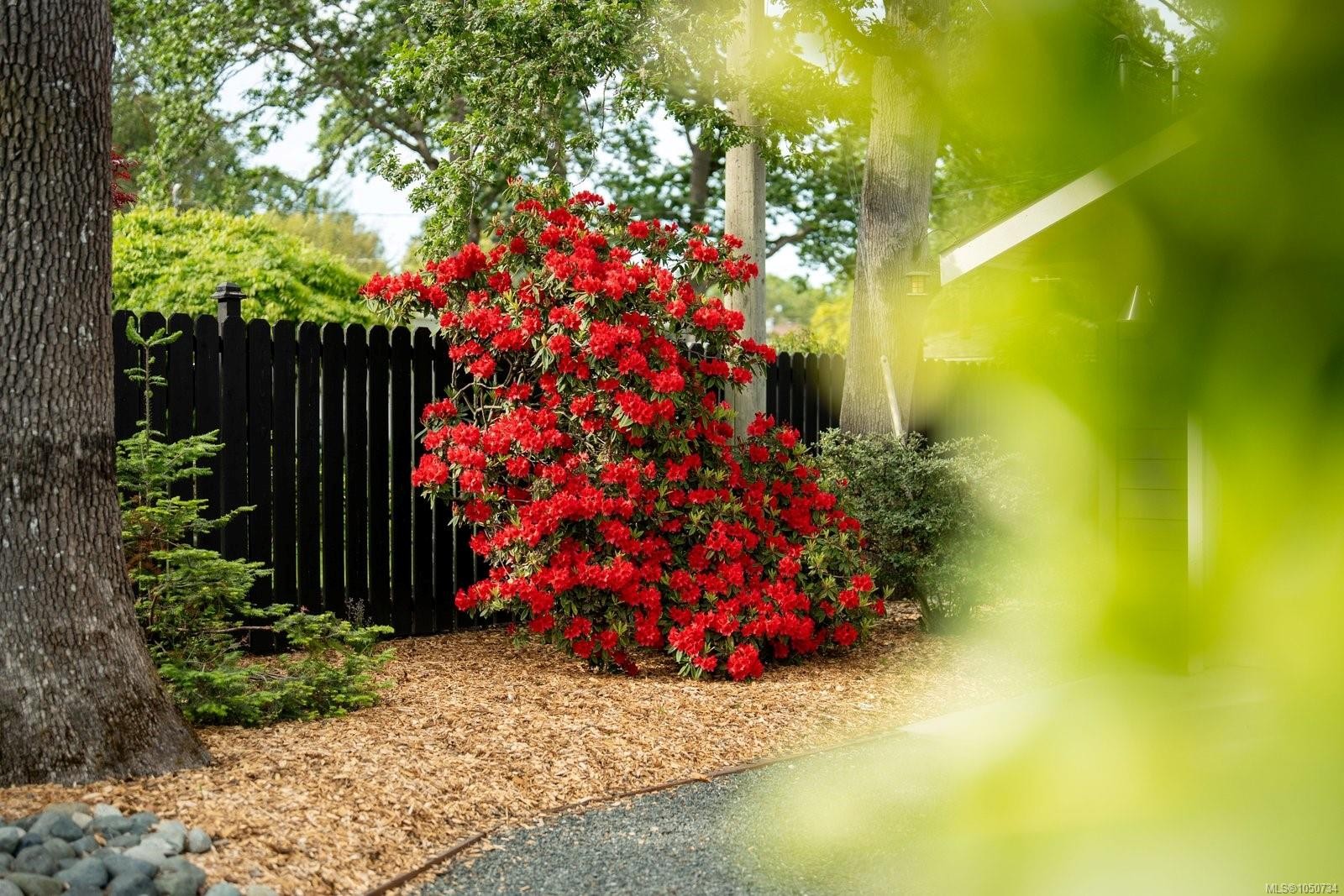 3311 Gibbs Rd, Oak Bay, BC