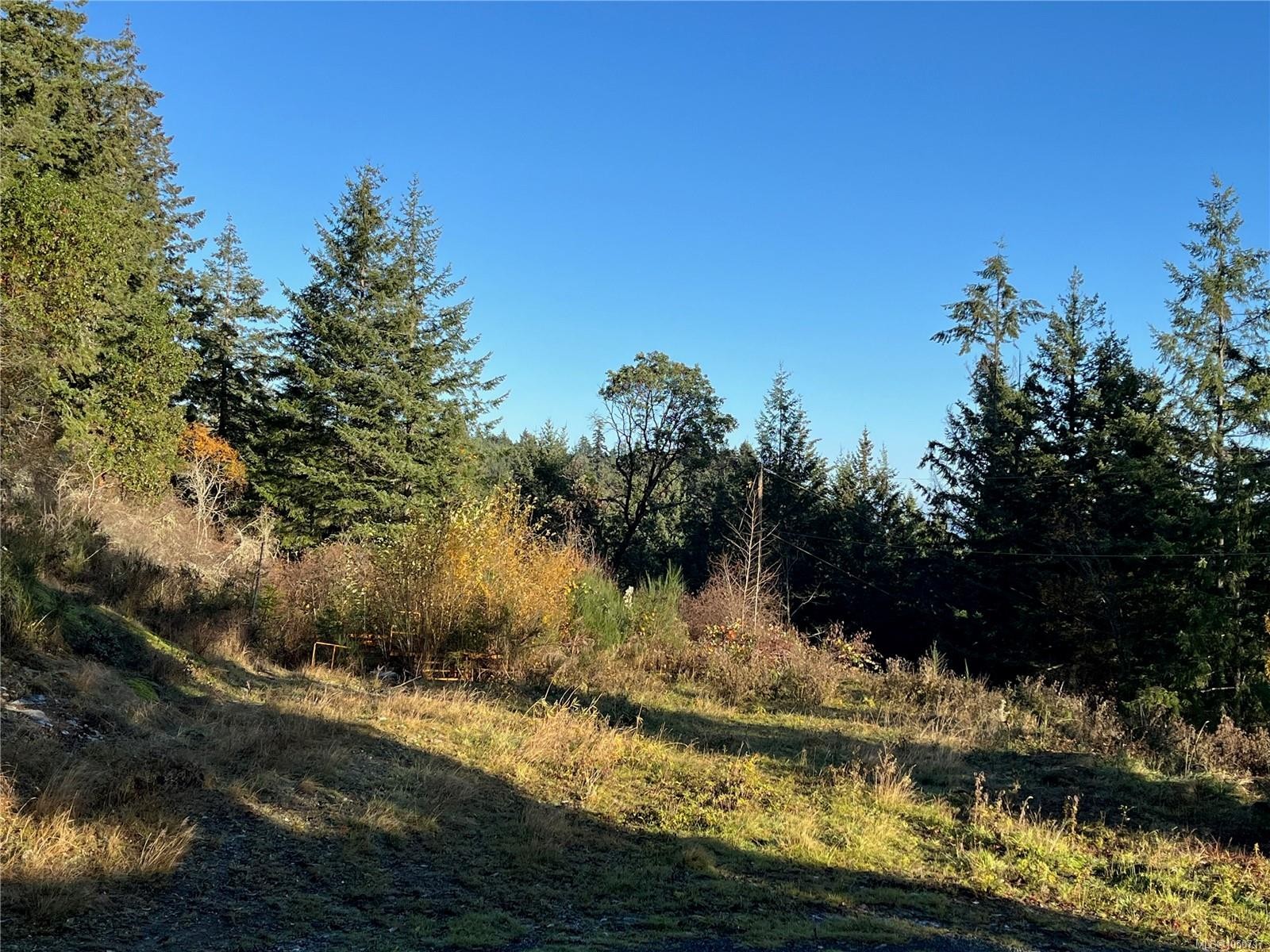 8030 Trans Canada Hwy, Duncan, BC