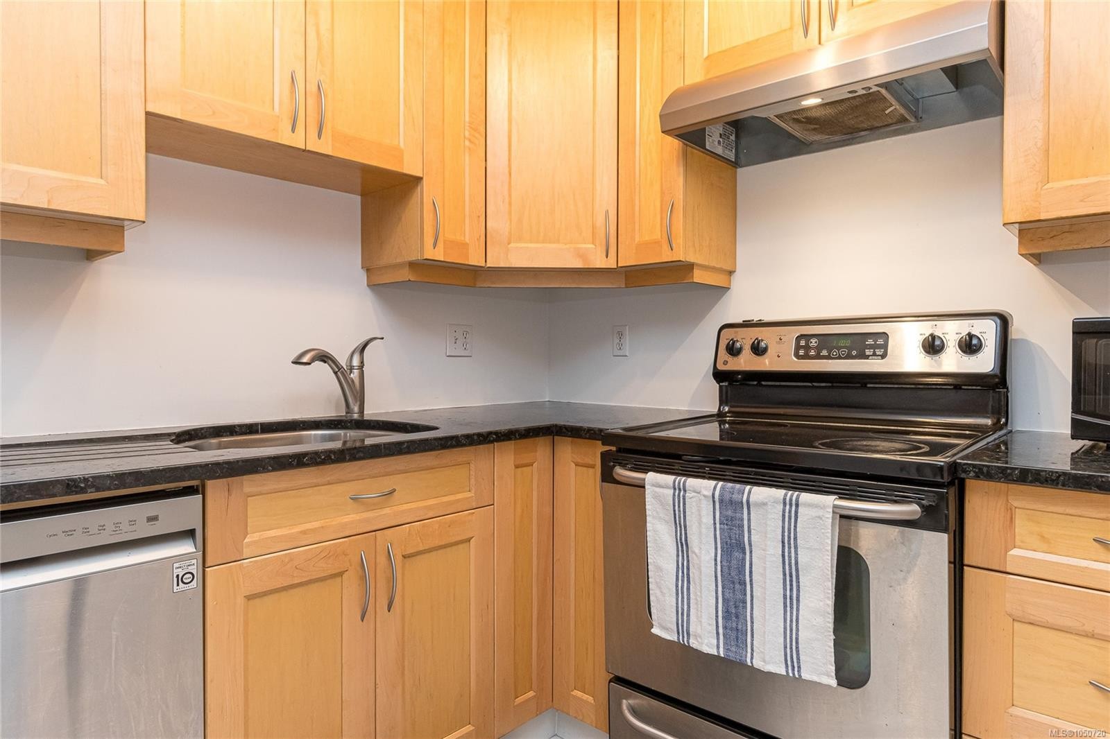 #101-827 North Park St, Victoria, BC