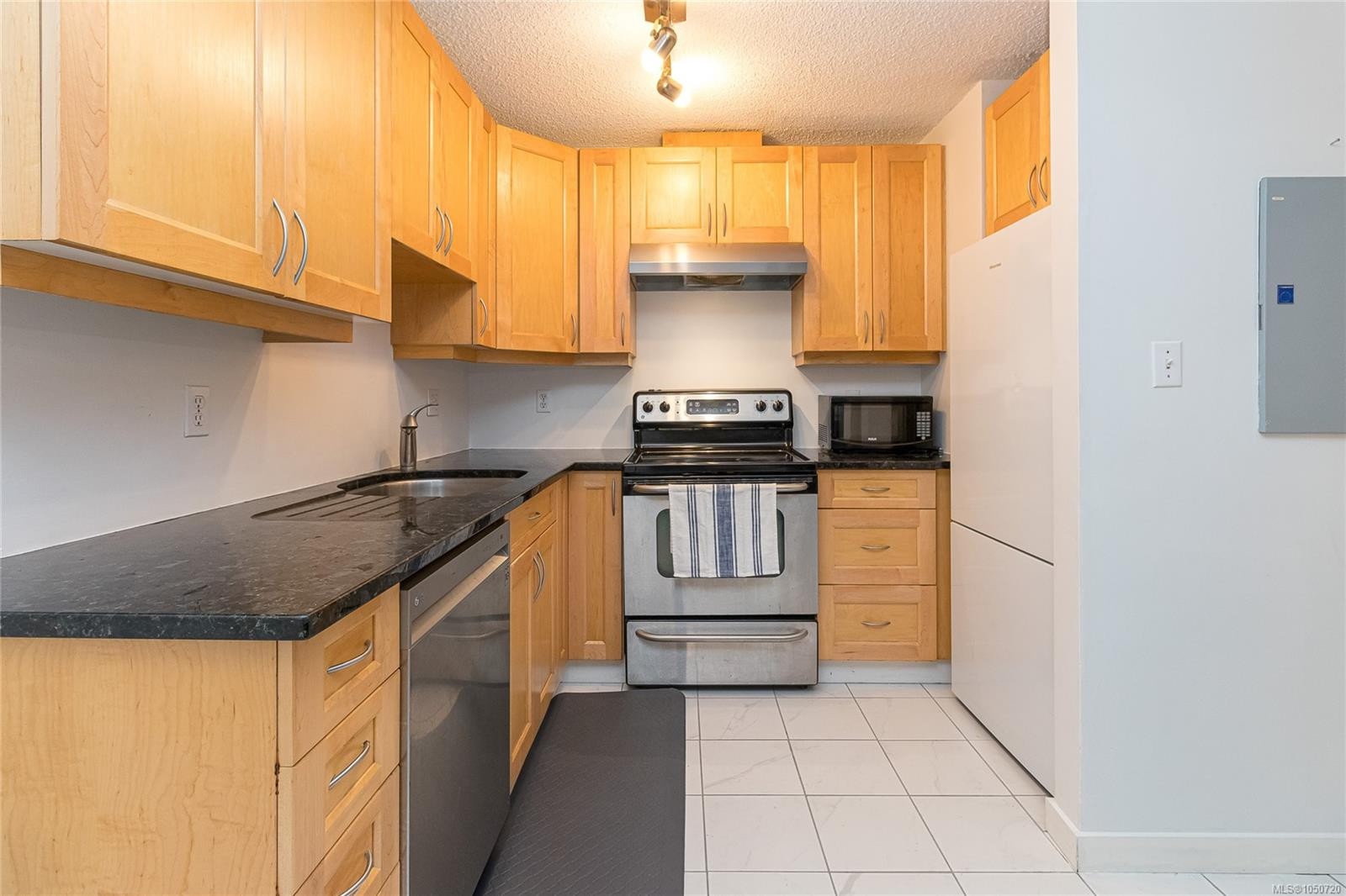 #101-827 North Park St, Victoria, BC