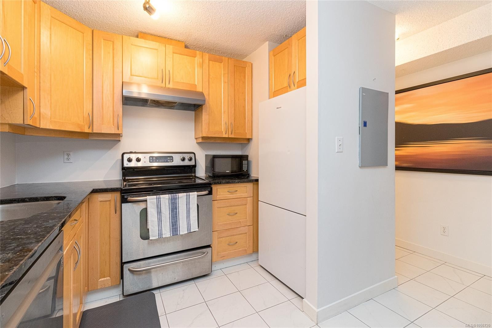 #101-827 North Park St, Victoria, BC