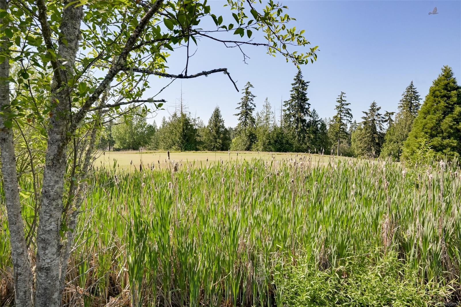 574 Cedar Cres, Cobble Hill, BC