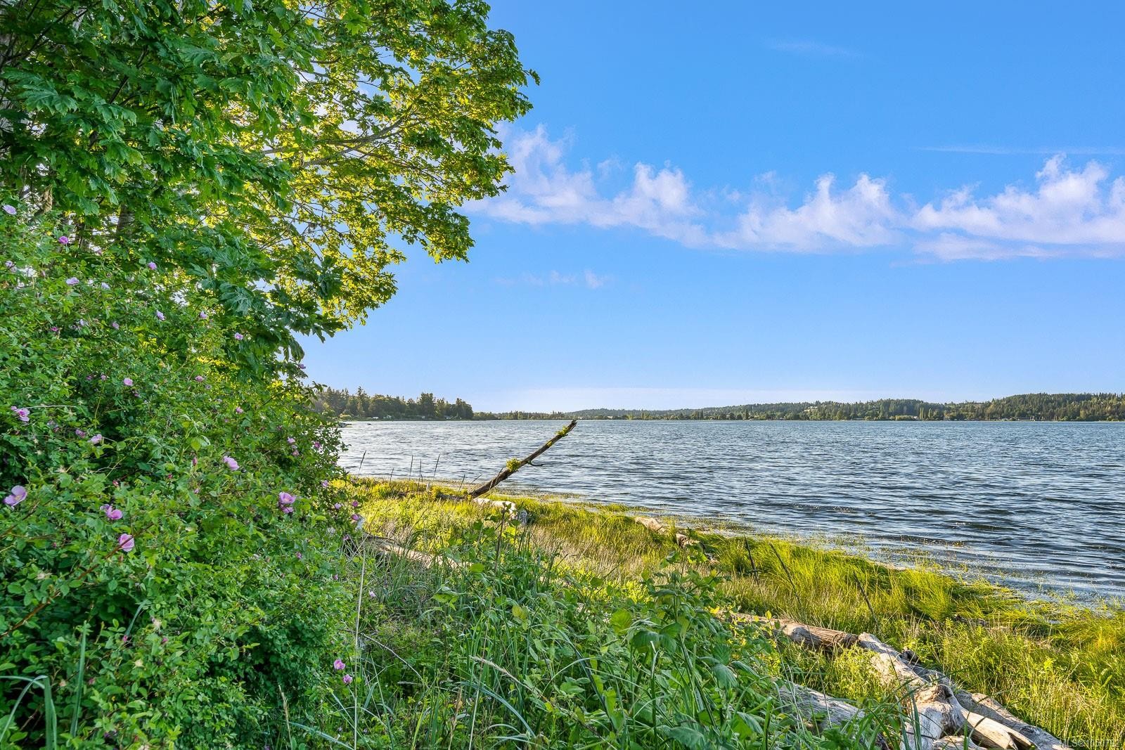 3632 Island Hwy South, Courtenay, BC