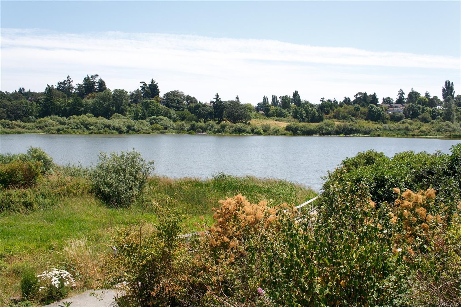 #312-991 Mckenzie Ave, Saanich, BC
