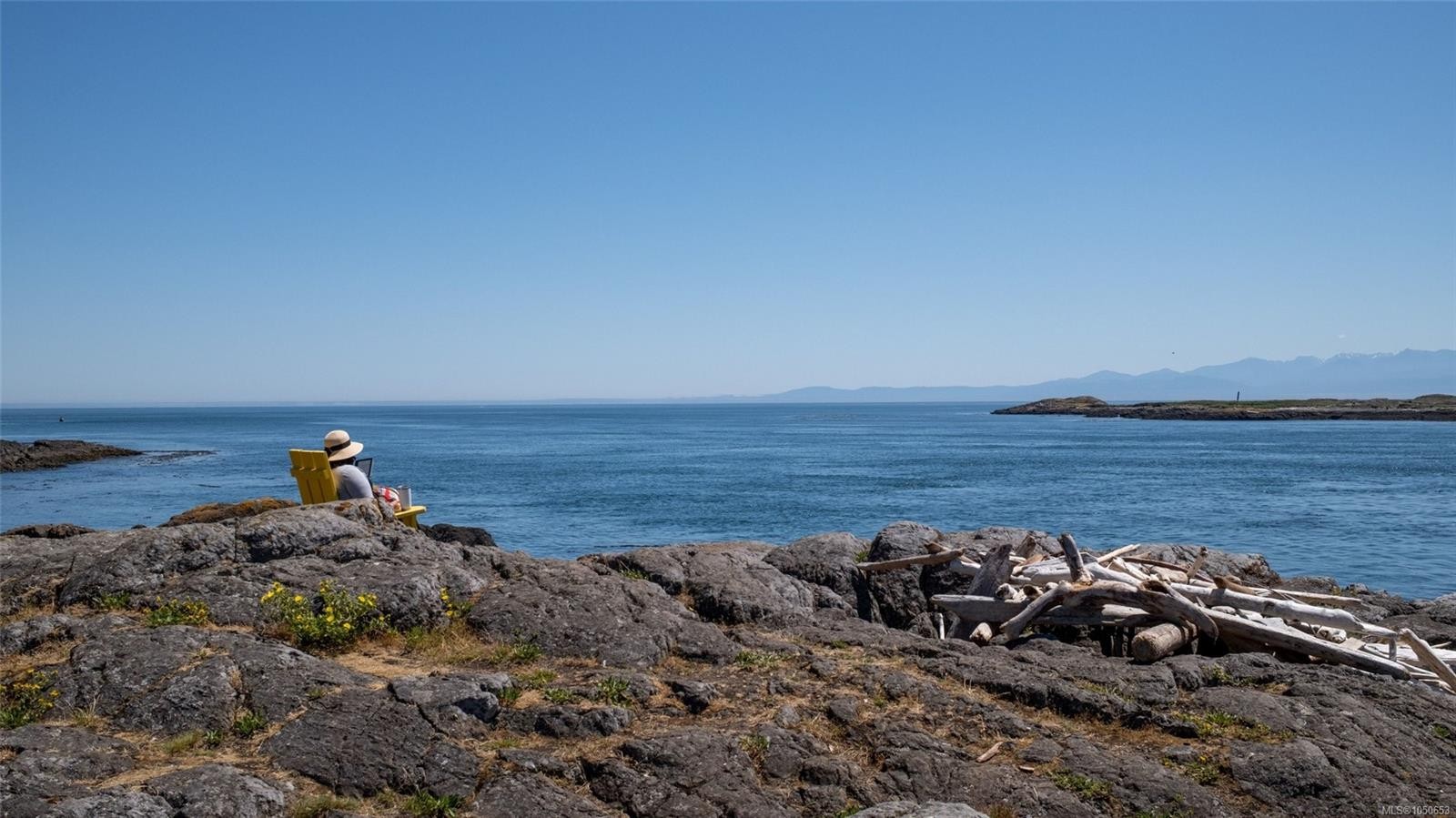 1033 Monterey Ave, Oak Bay, BC