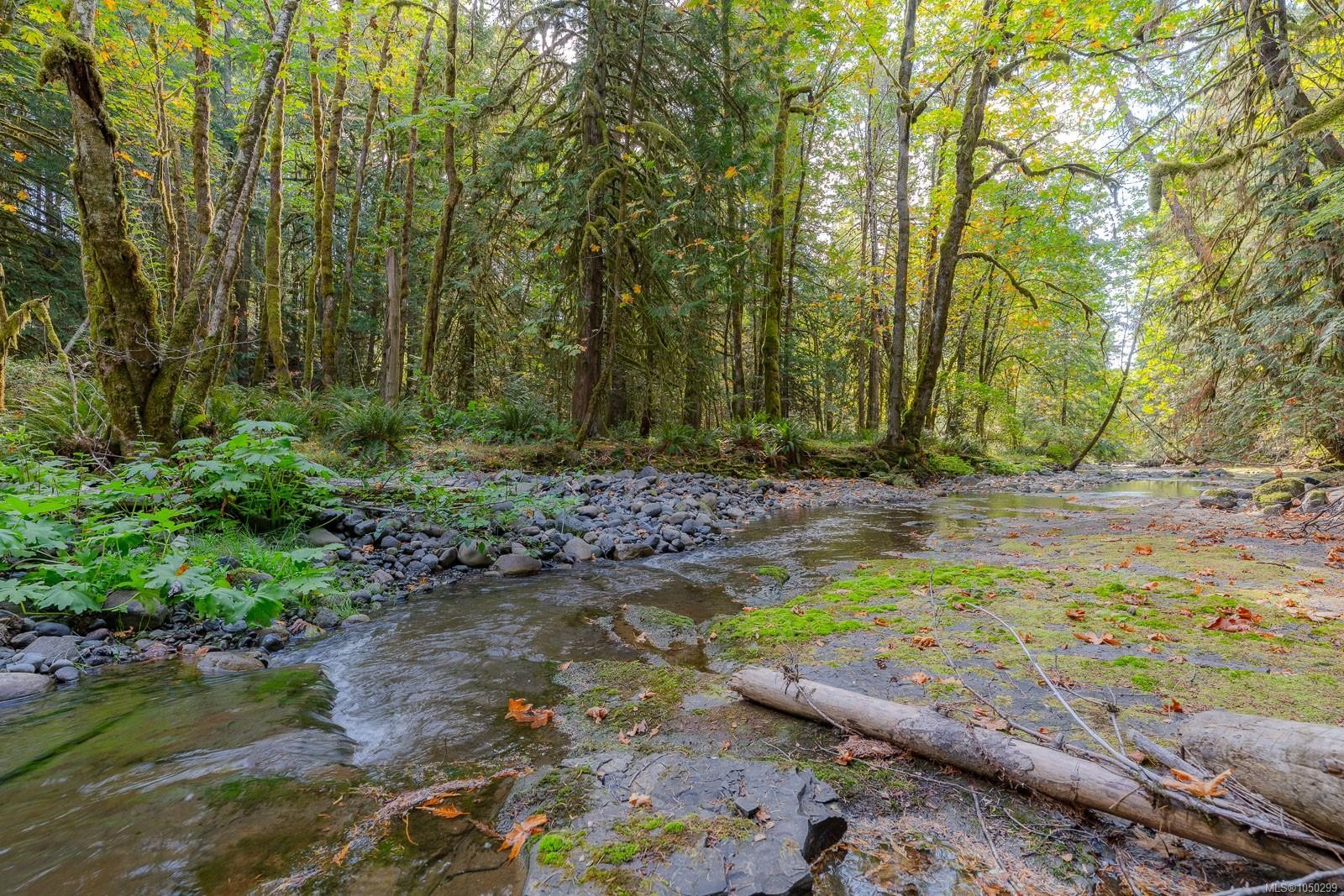 5625 Willow Rd, Port Alberni, BC